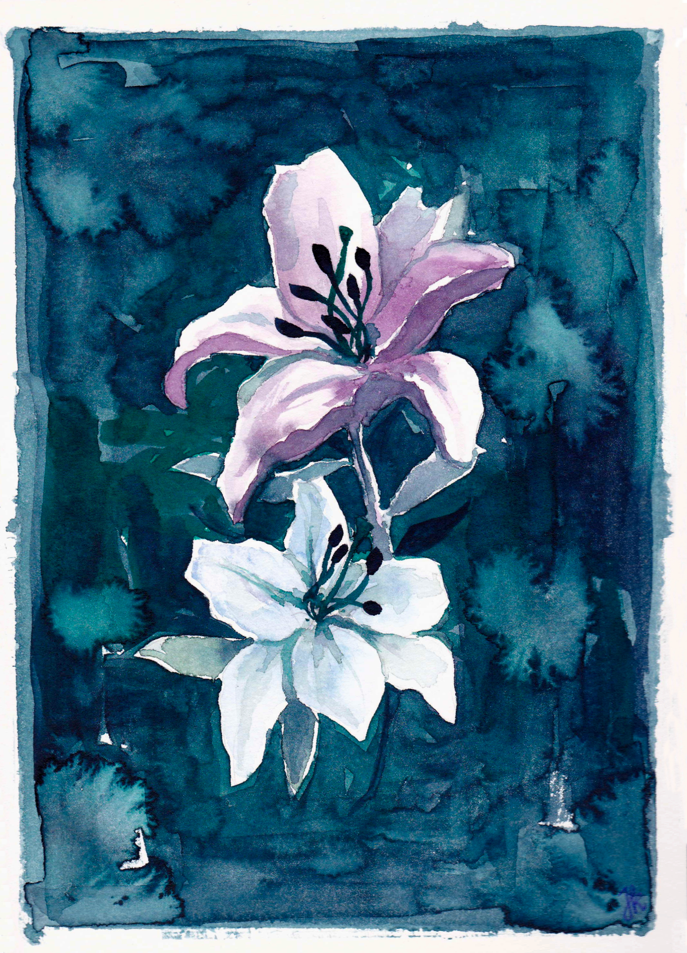 Lilies, Watercolours