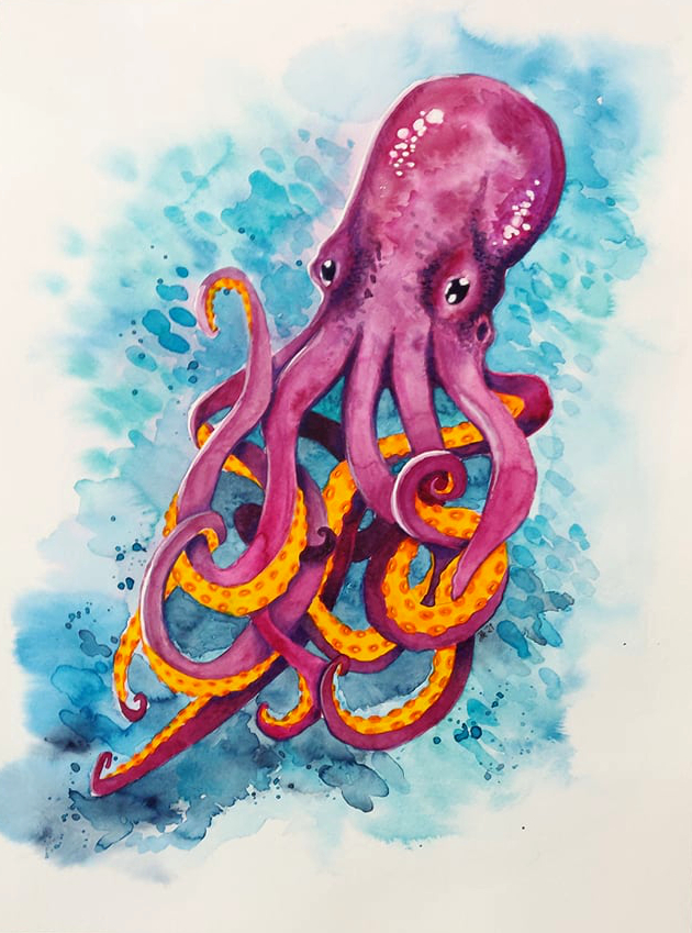 Octopus, Watercolours