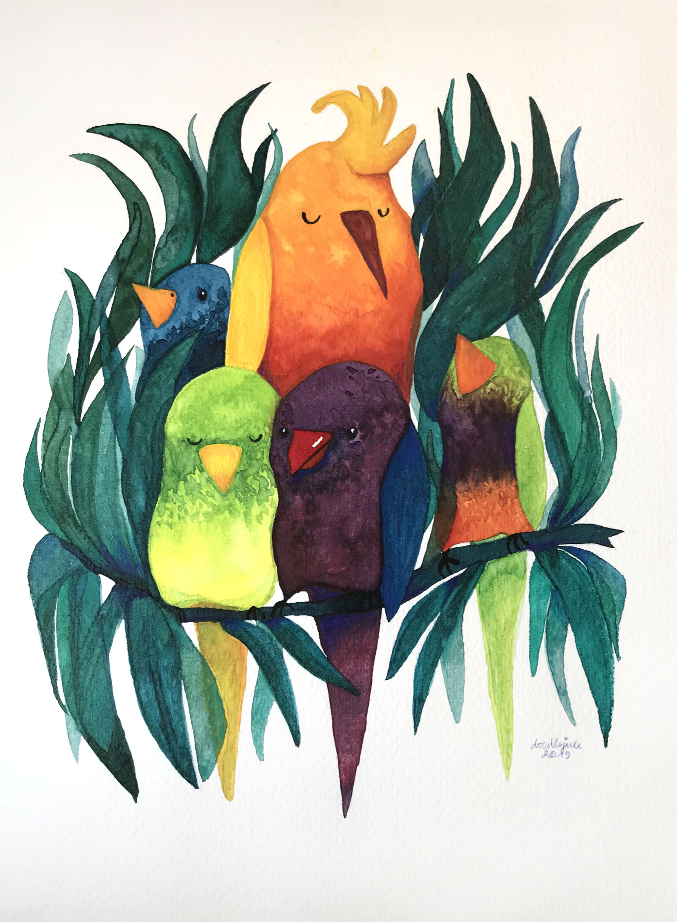 Parrots Watercolours